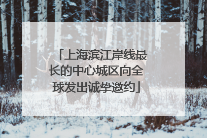 上海滨江岸线最长的中心城区向全球发出诚挚邀约