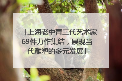 上海老中青三代艺术家69件力作集结，展现当代雕塑的多元发展