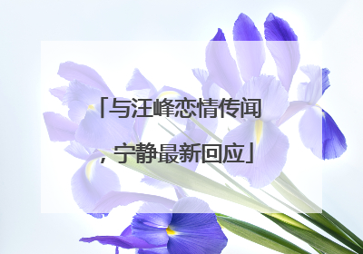 与汪峰恋情传闻，宁静最新回应