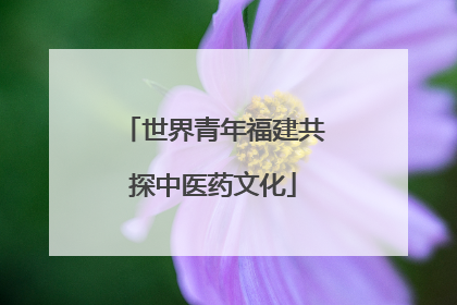 世界青年福建共探中医药文化