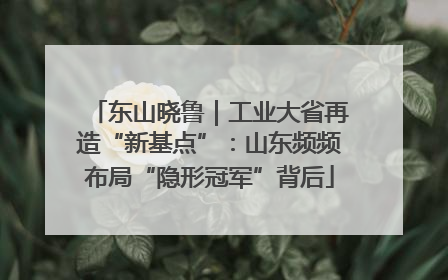 东山晓鲁｜工业大省再造“新基点”：山东频频布局“隐形冠军”背后