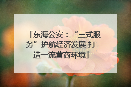 东海公安：“三式服务”护航经济发展 打造一流营商环境