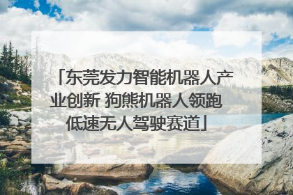 东莞发力智能机器人产业创新 狗熊机器人领跑低速无人驾驶赛道
