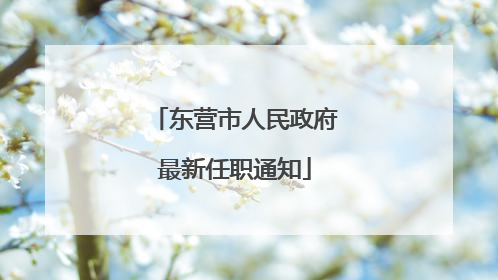 东营市人民政府最新任职通知