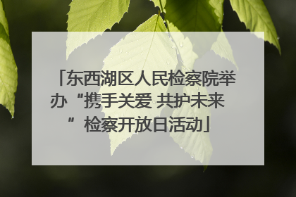 东西湖区人民检察院举办“携手关爱 共护未来”检察开放日活动