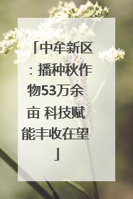中牟新区：播种秋作物53万余亩 科技赋能丰收在望