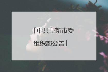 中共阜新市委组织部公告