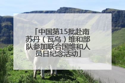 中国第15批赴南苏丹（瓦乌）维和部队参加联合国维和人员日纪念活动
