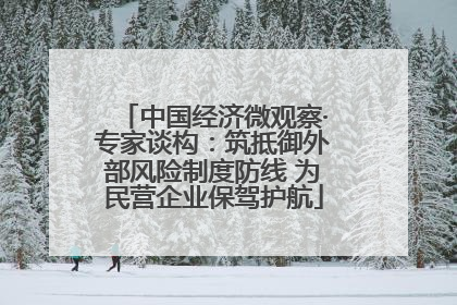 中国经济微观察·专家谈构：筑抵御外部风险制度防线 为民营企业保驾护航