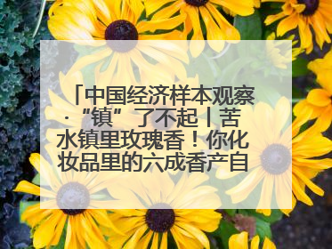 中国经济样本观察·“镇”了不起丨苦水镇里玫瑰香！你化妆品里的六成香产自这个小镇
