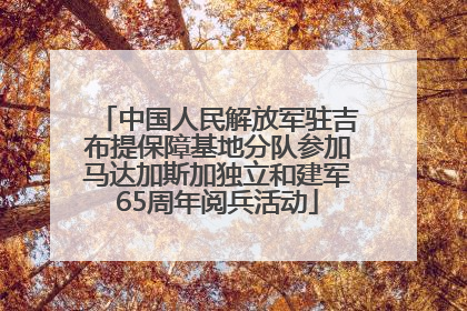 中国人民解放军驻吉布提保障基地分队参加马达加斯加独立和建军65周年阅兵活动