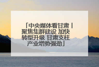 中央媒体看甘肃丨聚焦集群建设 加快转型升级 甘肃支柱产业增势强劲