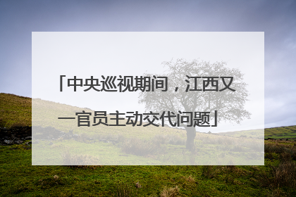 中央巡视期间，江西又一官员主动交代问题