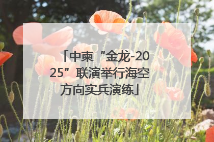 中柬“金龙-2025”联演举行海空方向实兵演练