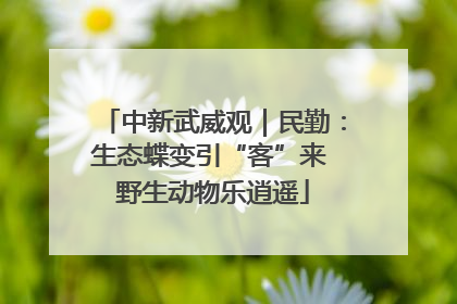 中新武威观｜民勤：生态蝶变引“客”来 野生动物乐逍遥