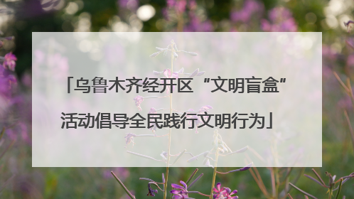 乌鲁木齐经开区“文明盲盒”活动倡导全民践行文明行为