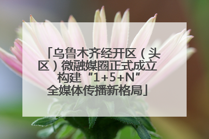 乌鲁木齐经开区（头区）微融媒圈正式成立 构建“1+5+N”全媒体传播新格局
