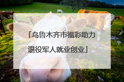 乌鲁木齐市福彩助力退役军人就业创业