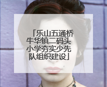 乐山五通桥牛华镇二码头小学夯实少先队组织建设