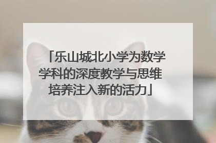 乐山城北小学为数学学科的深度教学与思维培养注入新的活力