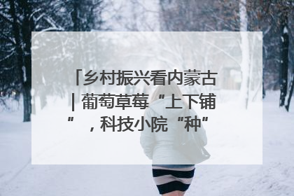 乡村振兴看内蒙古｜葡萄草莓“上下铺”，科技小院“种”出三倍效益