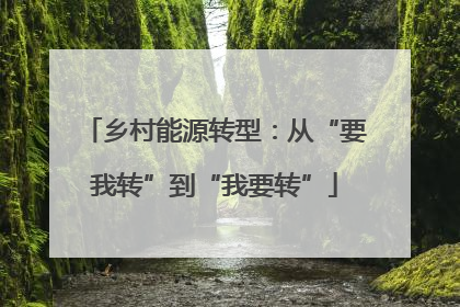 乡村能源转型：从“要我转”到“我要转”
