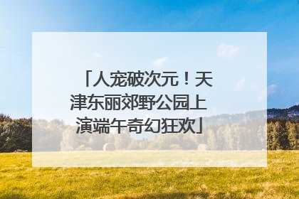 人宠破次元！天津东丽郊野公园上演端午奇幻狂欢