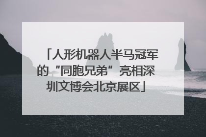 人形机器人半马冠军的“同胞兄弟”亮相深圳文博会北京展区