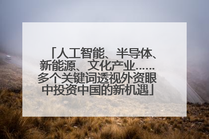 人工智能、半导体、新能源、文化产业……多个关键词透视外资眼中投资中国的新机遇