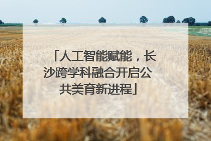人工智能赋能，长沙跨学科融合开启公共美育新进程