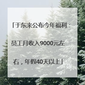 于东来公布今年福利：员工月收入9000元左右，年假40天以上