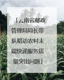 云南省邮政管理局局长带队暗访农村末端快递服务质量突出问题