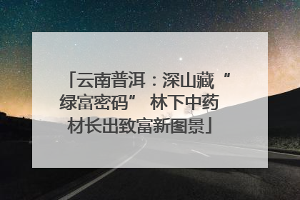 云南普洱：深山藏“绿富密码” 林下中药材长出致富新图景