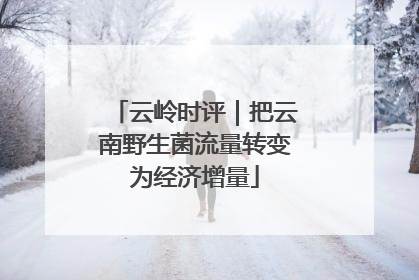 云岭时评｜把云南野生菌流量转变为经济增量