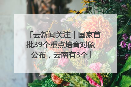 云新闻关注｜国家首批39个重点培育对象公布，云南有3个