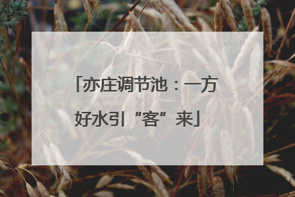 亦庄调节池：一方好水引“客”来