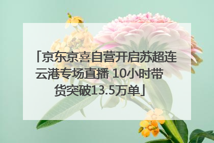京东京喜自营开启苏超连云港专场直播 10小时带货突破13.5万单