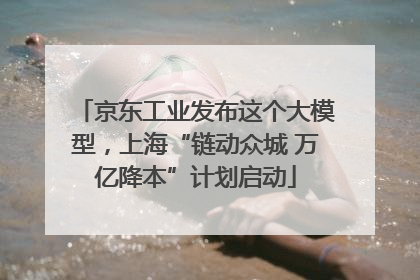 京东工业发布这个大模型，上海“链动众城 万亿降本”计划启动