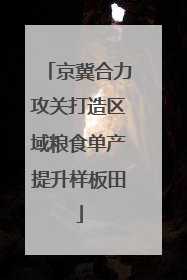 京冀合力攻关打造区域粮食单产提升样板田