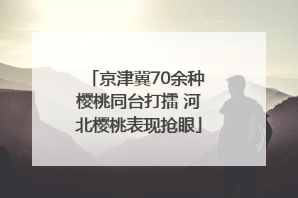 京津冀70余种樱桃同台打擂 河北樱桃表现抢眼