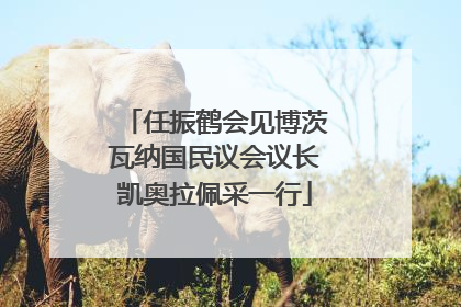 任振鹤会见博茨瓦纳国民议会议长凯奥拉佩采一行
