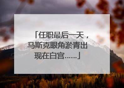 任职最后一天，马斯克眼角淤青出现在白宫……