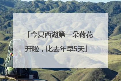 今夏西湖第一朵荷花开啦，比去年早5天