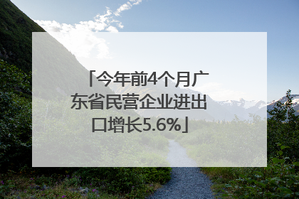 今年前4个月广东省民营企业进出口增长5.6%