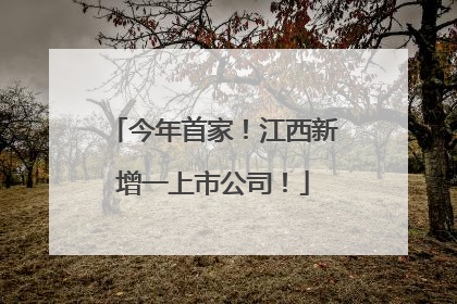 今年首家！江西新增一上市公司！