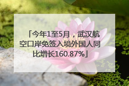 今年1至5月，武汉航空口岸免签入境外国人同比增长160.87%