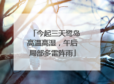 今起三天鹭岛高温高湿，午后局部多雷阵雨