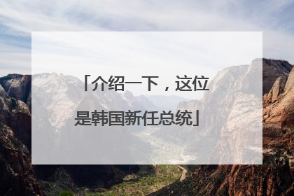 介绍一下，这位是韩国新任总统