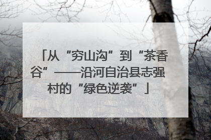 从“穷山沟”到“茶香谷”——沿河自治县志强村的“绿色逆袭”