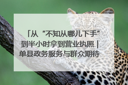 从“不知从哪儿下手”到半小时拿到营业执照｜单县政务服务与群众期待的“双向奔赴”
